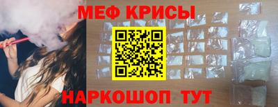 гашик Кингисепп
