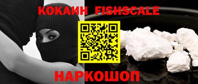гашик Кингисепп