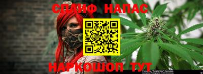 СК Канаш