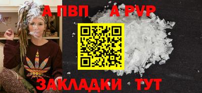 гашик Кингисепп