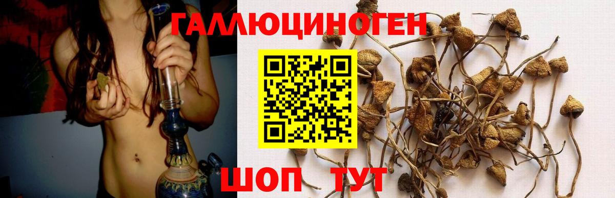 Галлюциногенные грибы MAGIC MUSHROOMS  Псилоцибиновые грибы прущие грибы  Вход с VPN  продажа наркотиков  Зеленокумск 
