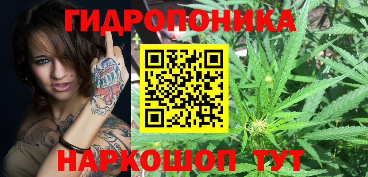 Шишки марихуана план Зеленокумск